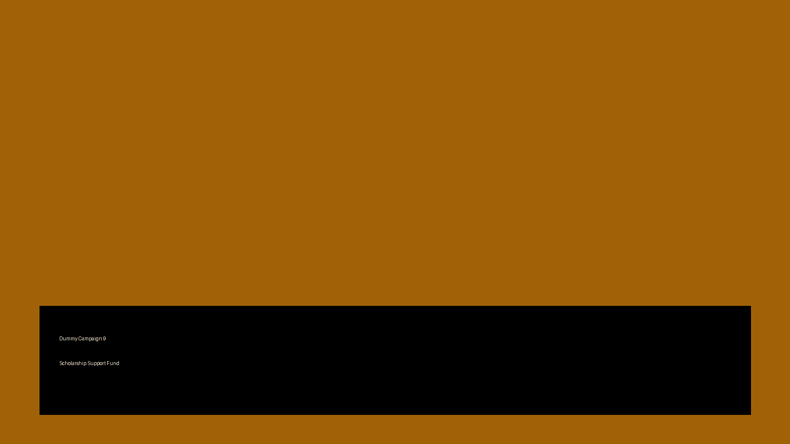 Scholarship Support Fund